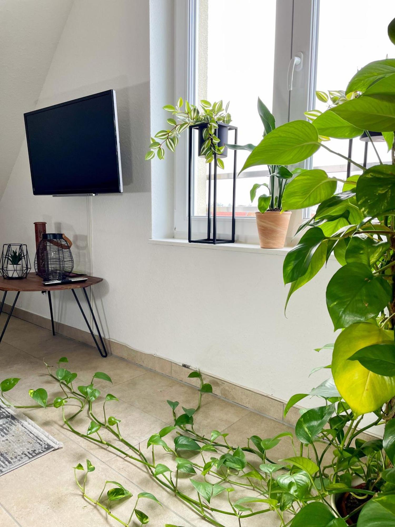 Ahaus: Stadtoase Mit Terrasse & Privater Garage Exteriör bild